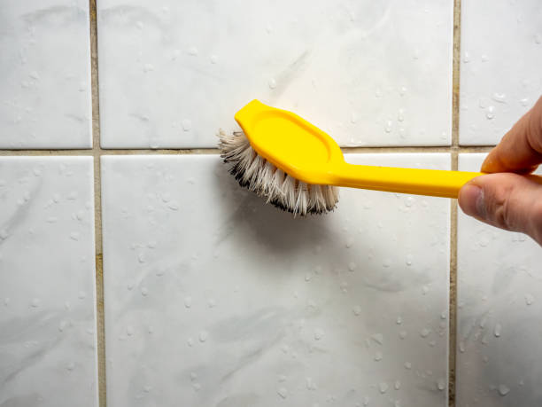 Best Best Mold Removal Companies  in Dakota Dunes, SD
