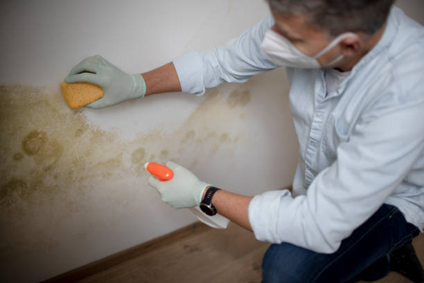 Best Commercial Mold Removal  in Dakota Dunes, SD