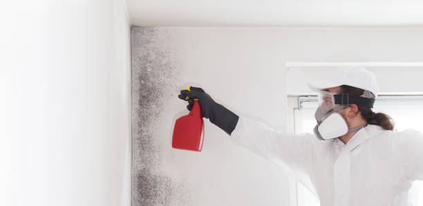 Best Residential Mold Removal  in Dakota Dunes, SD