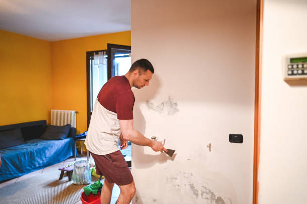 Best Mold Cleaning Services  in Dakota Dunes, SD
