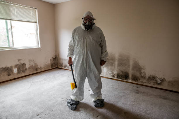 Best Toxic Mold Removal  in Dakota Dunes, SD